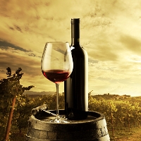 Logística de bebidas